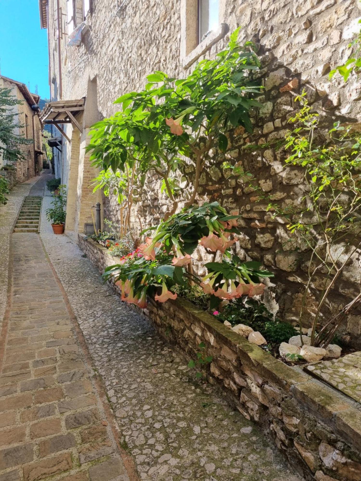 Casa de Férias Cuore Del Castello